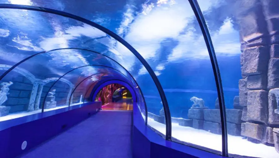 Antalya Aquarium & Face2Face Wax Museum photo 1